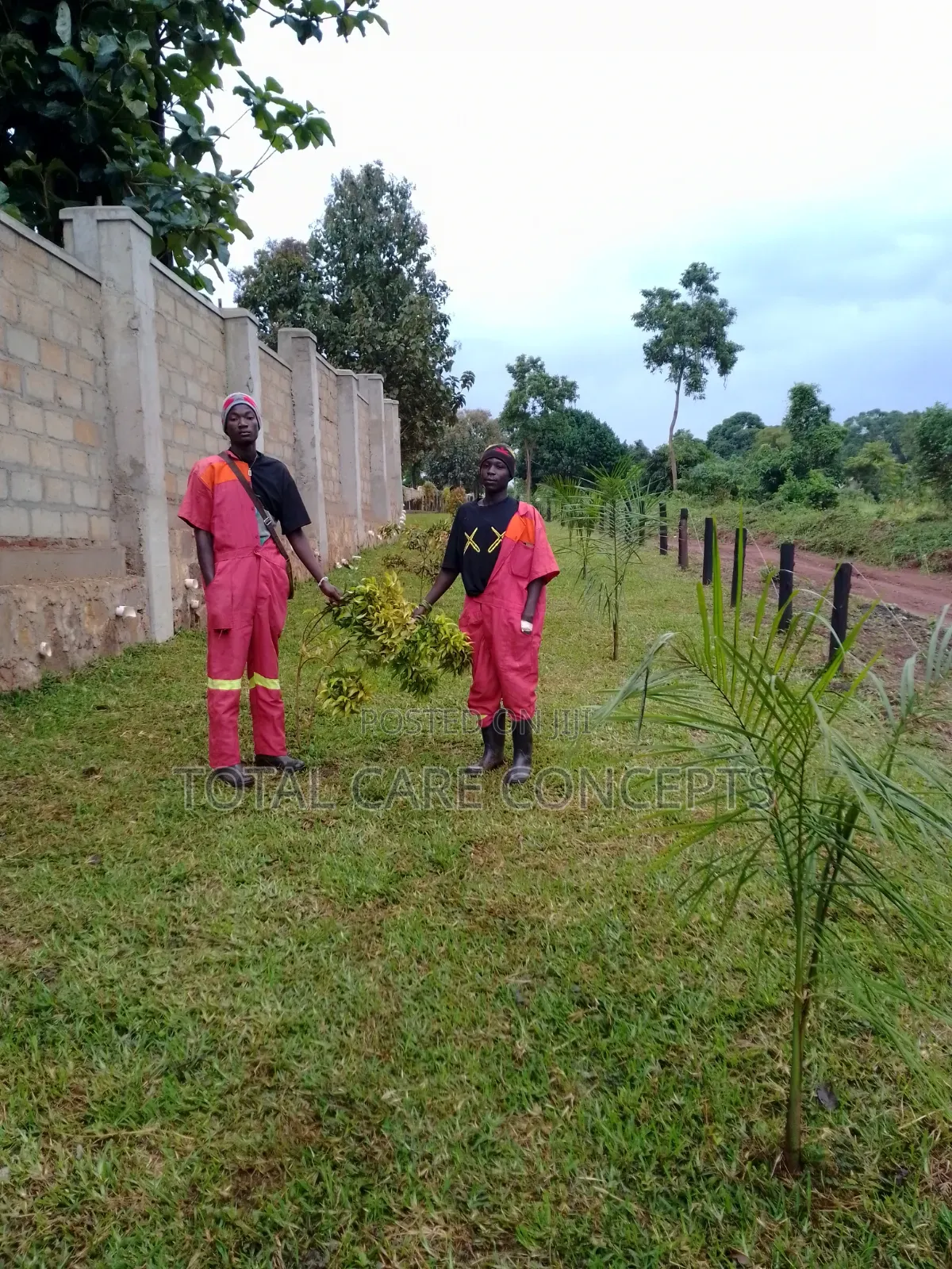Best Gardening and Planting Services You Need