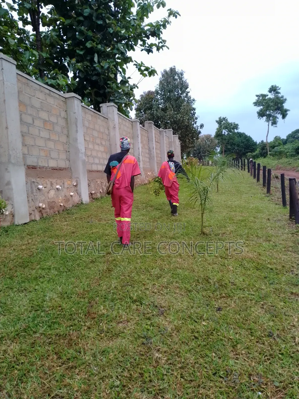 Best Gardening and Planting Services You Need