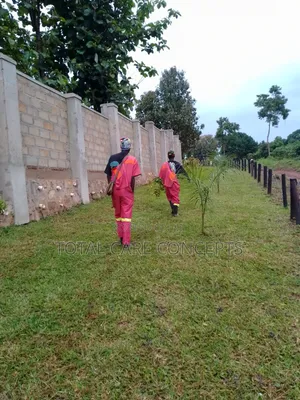 Best Gardening and Planting Services You Need