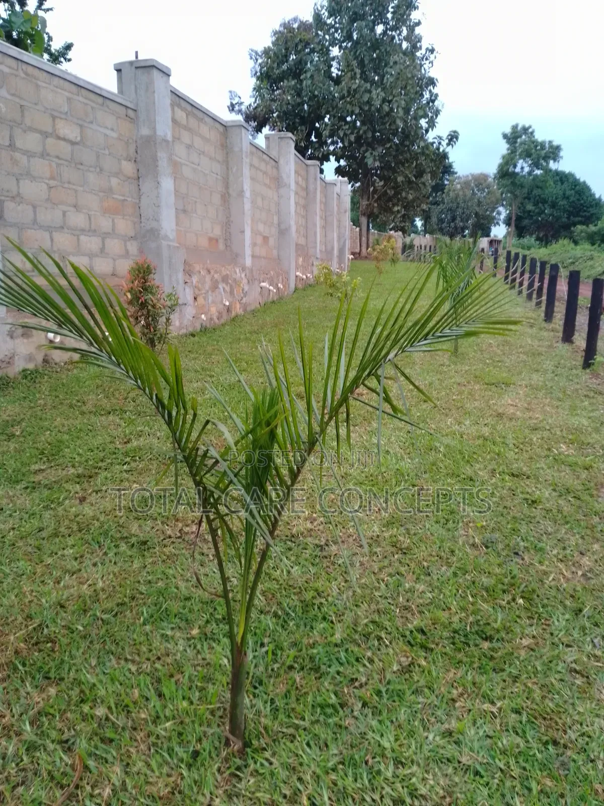 Best Gardening and Planting Services You Need