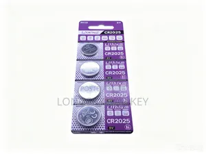 Car Key Batteries
