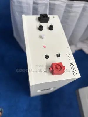 16kwh 48v Dyness Lithium Phosphate Battery