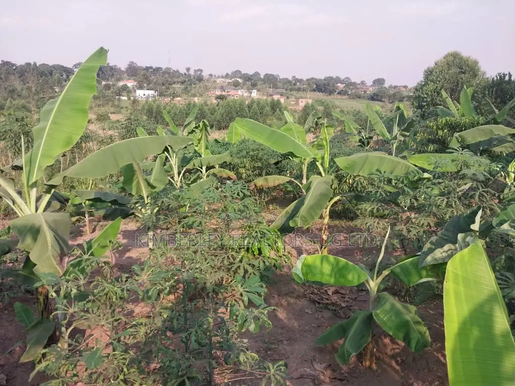 Land for Sale – Matugga Kavule
