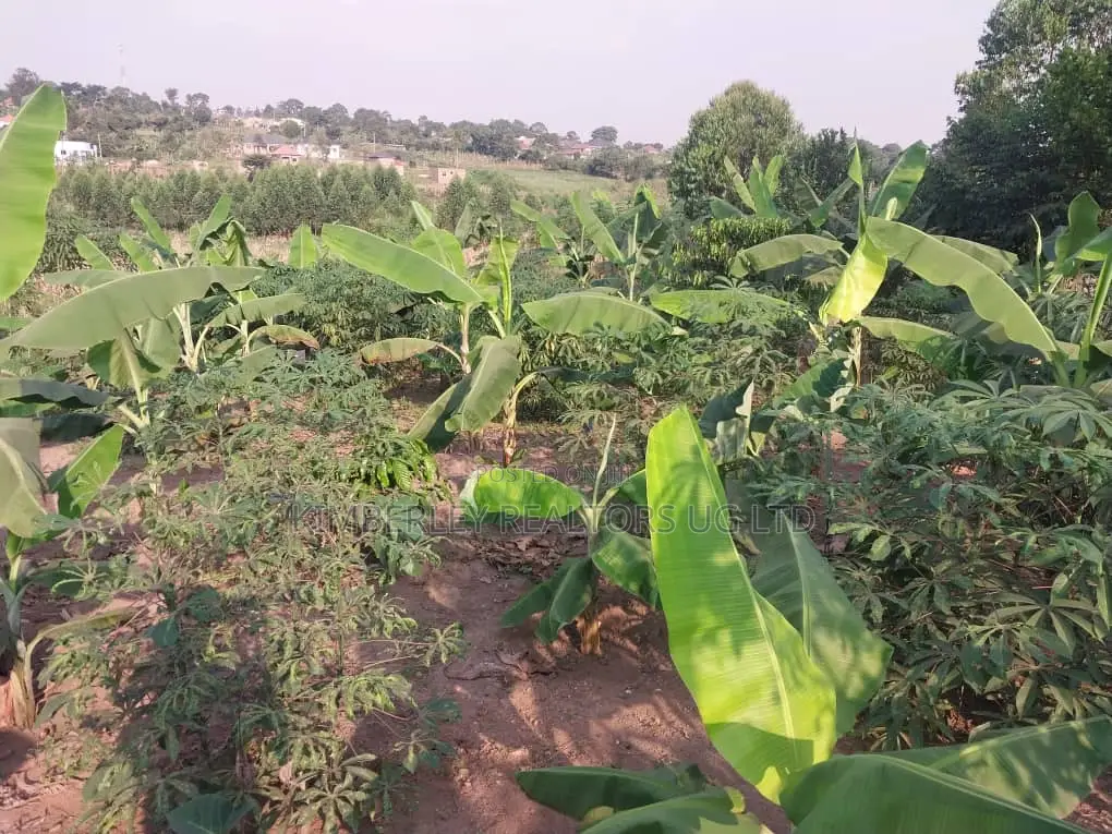 Land for Sale – Matugga Kavule