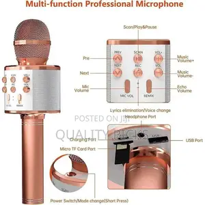 1 Pic Wireless Bluetooth Karaoke Microphone