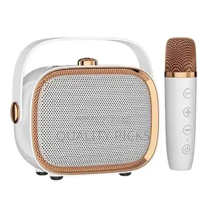 Bluetooth 5.3 Speaker With 2 Microphone Karaoke Set