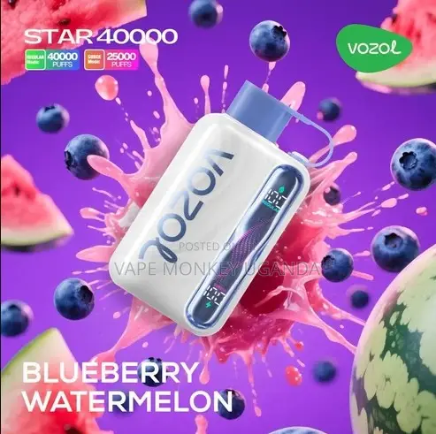 Vozol Star 40,000 Blueberry Watermelon