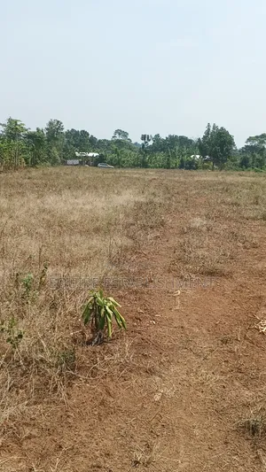 Kibanja Kikandwa Mukono Kayunga Road