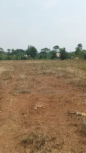 Kibanja Kikandwa Mukono Kayunga Road