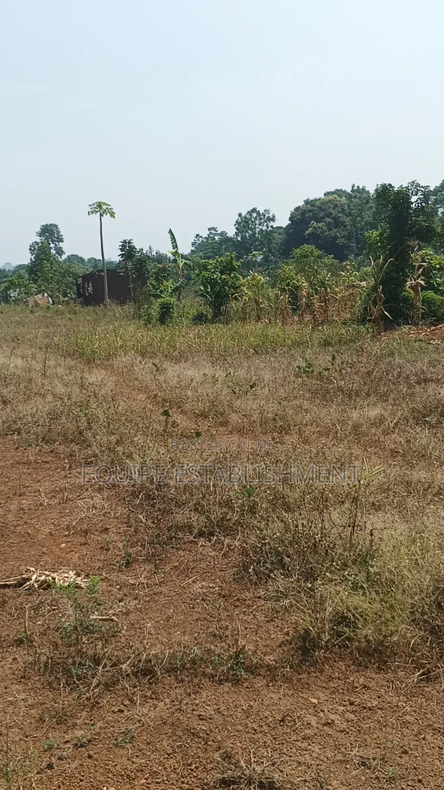 Kibanja Kikandwa Mukono Kayunga Road