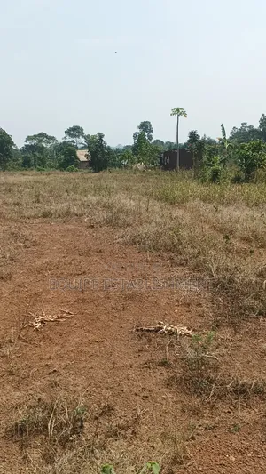 Kibanja Kikandwa Mukono Kayunga Road