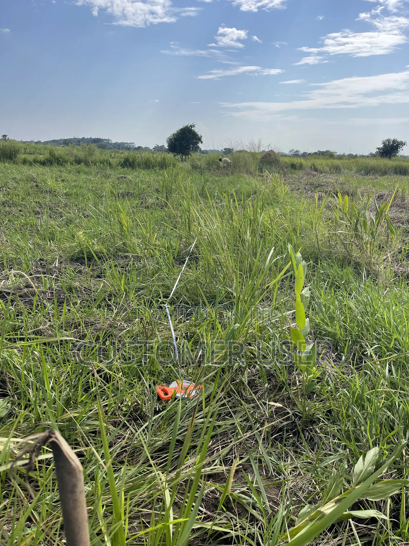 Land for Sale in Gulu