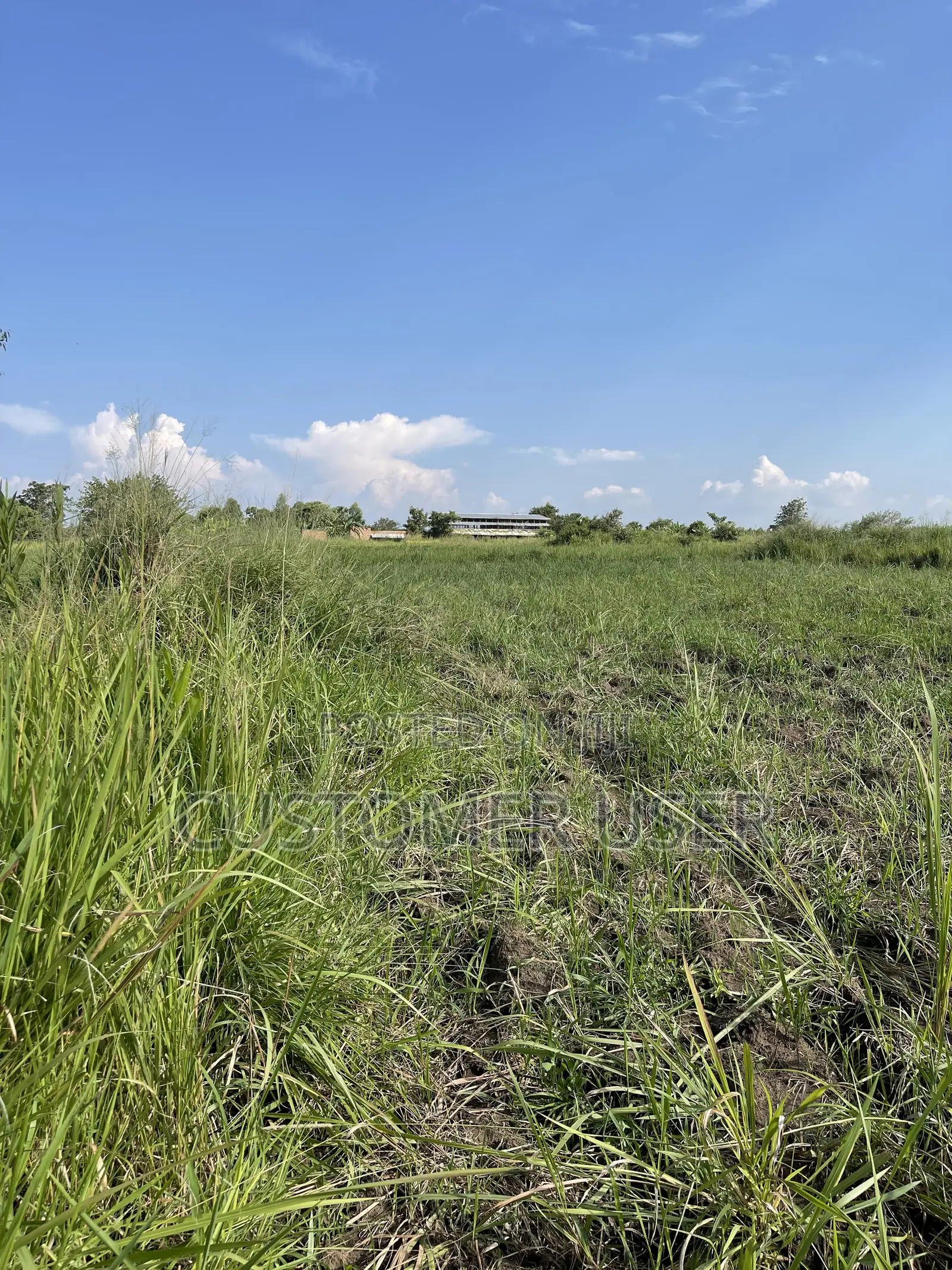 Land for Sale in Gulu