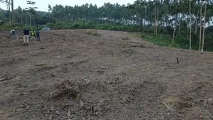 Plots at Migadde for Sale