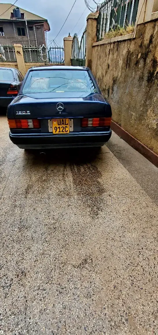 Mercedes-Benz 190 1994 Blue