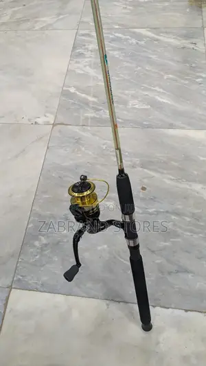 Fishing Spinning Reel and Rod Combo