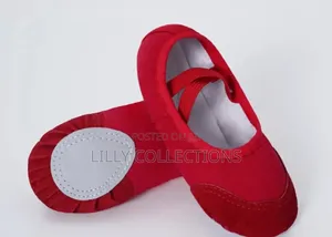 Kids Ballet Shoes