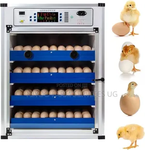 272 Eggs Incubator