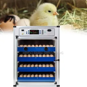 272 Eggs Incubator