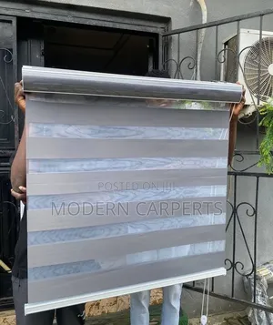 Xetic Zebra Blinds