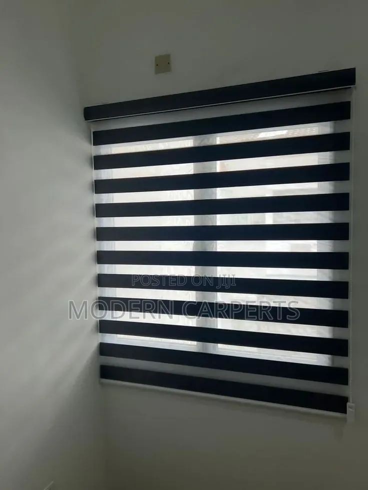 Xetic Zebra Blinds