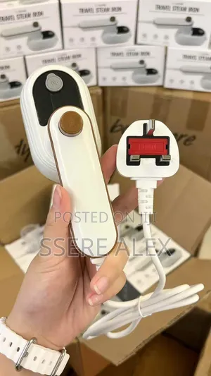 Portable Steam Iron