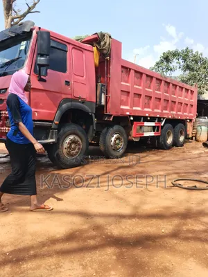 12 Type Sino Truck
