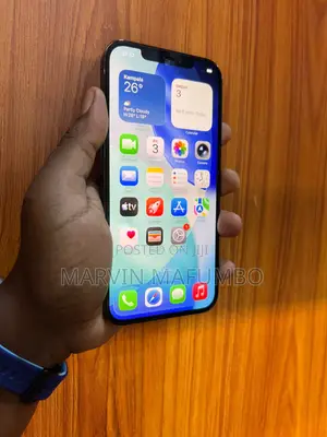 Apple iPhone 12 Pro Max 256 GB Blue