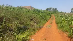 Land for Sale in Kisoga