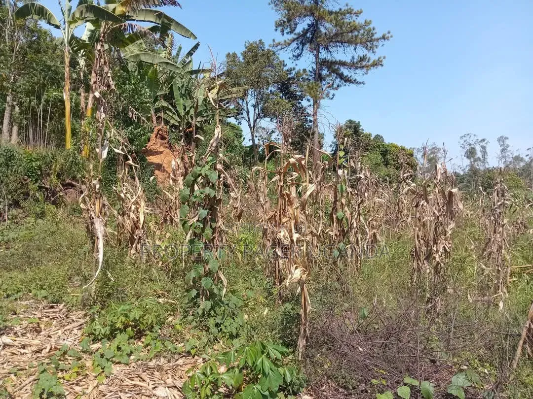 A Plot of 22 Decimals for Sale in Namugongo-Nsawo