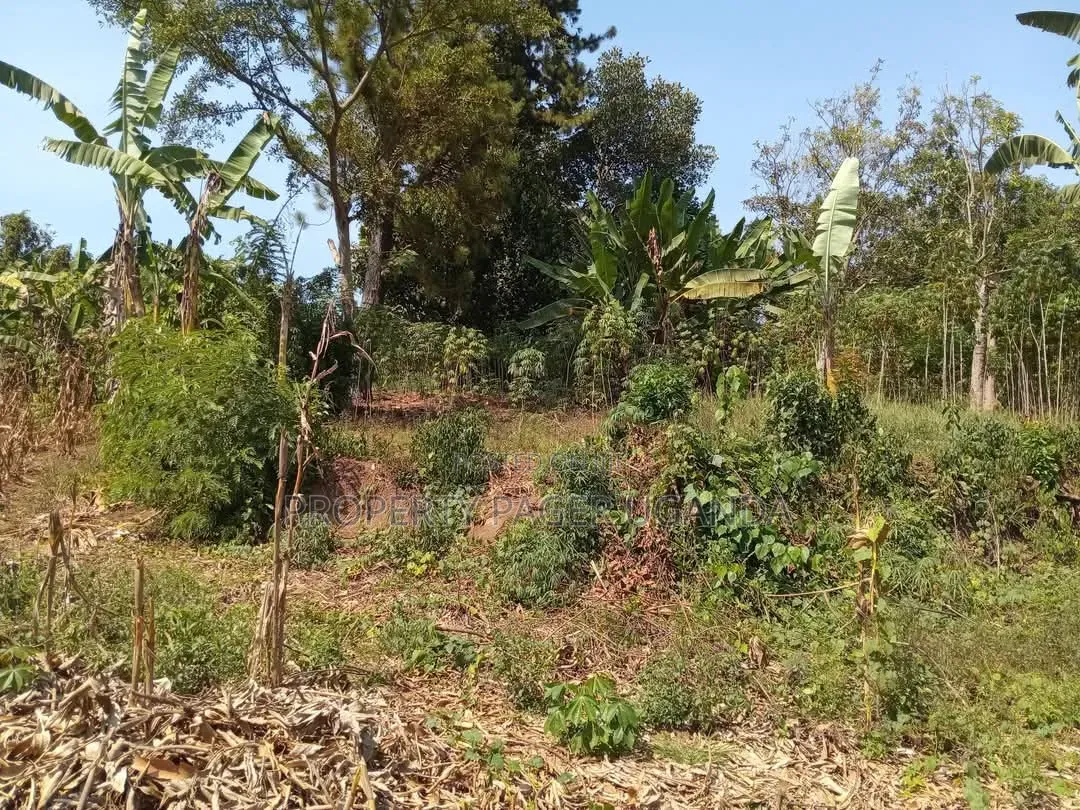A Plot of 22 Decimals for Sale in Namugongo-Nsawo