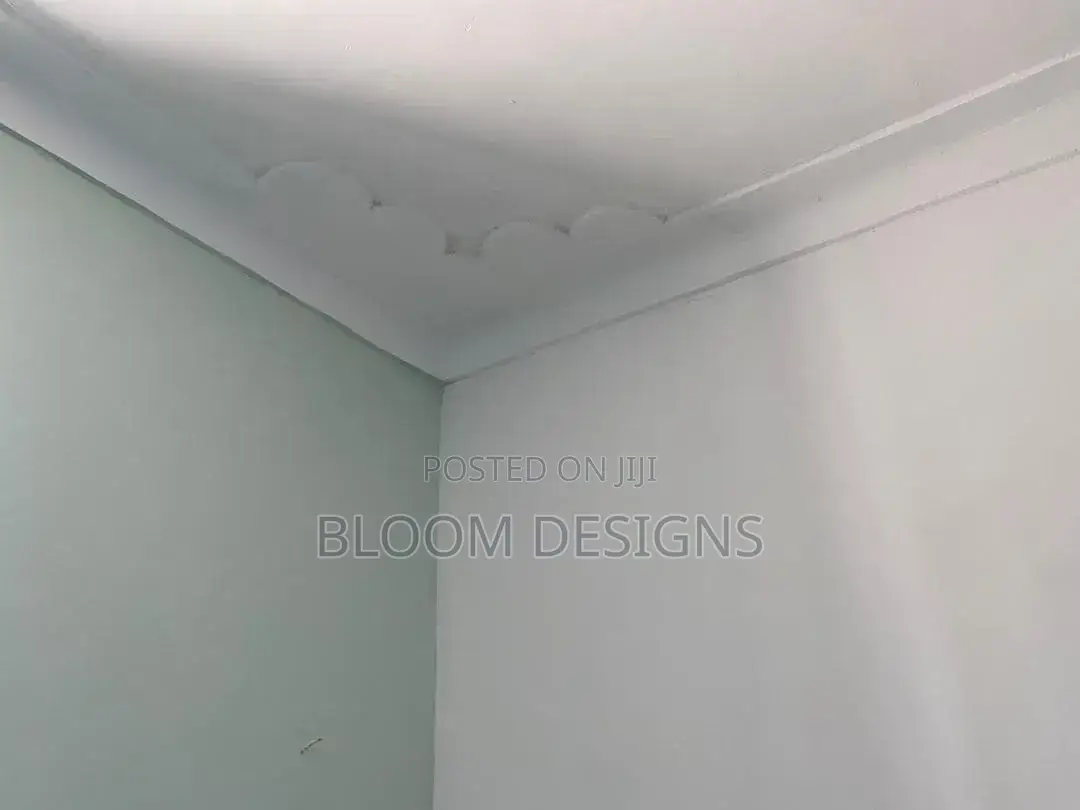 Gypsum and Painting Interiors