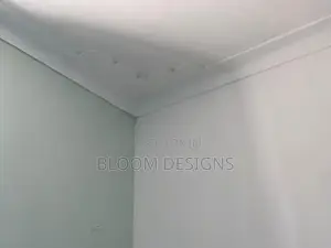 Gypsum and Painting Interiors