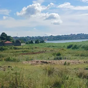 Lake View Plot With House on Quick Sale Garuga Ntebe 11decimals