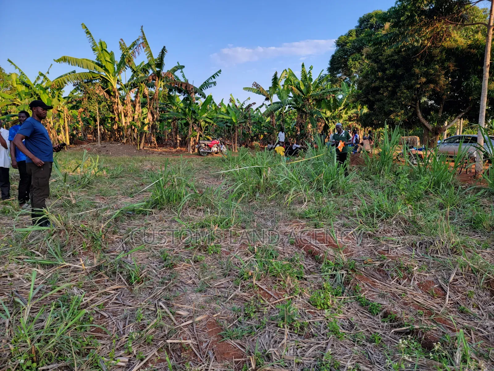 Maina Centre Mayuge Cheap Plots
