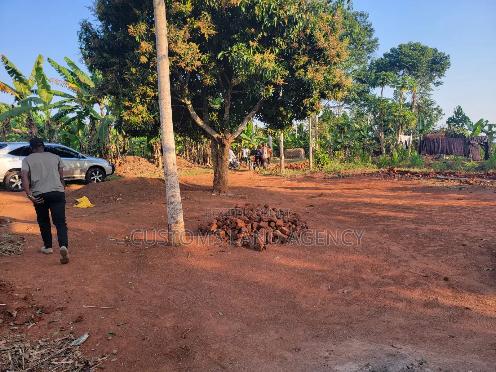 Maina Centre Mayuge Cheap Plots