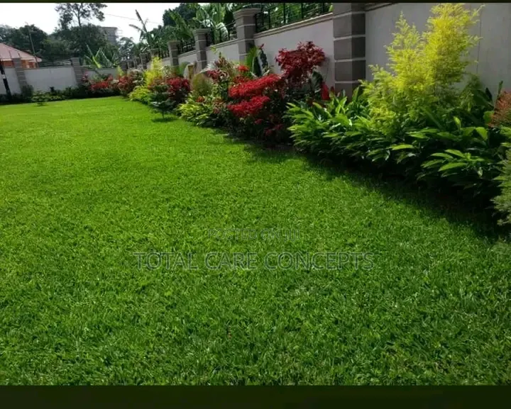 Best Compound Designers in Uganda 