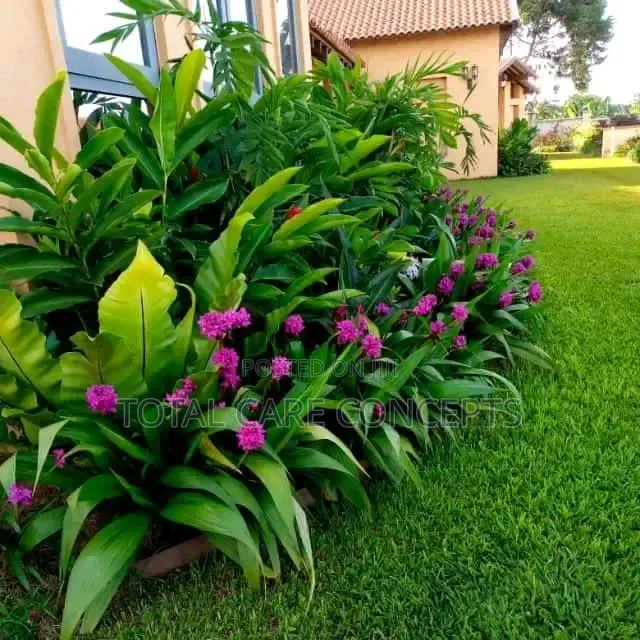 Best Compound Designers in Uganda 
