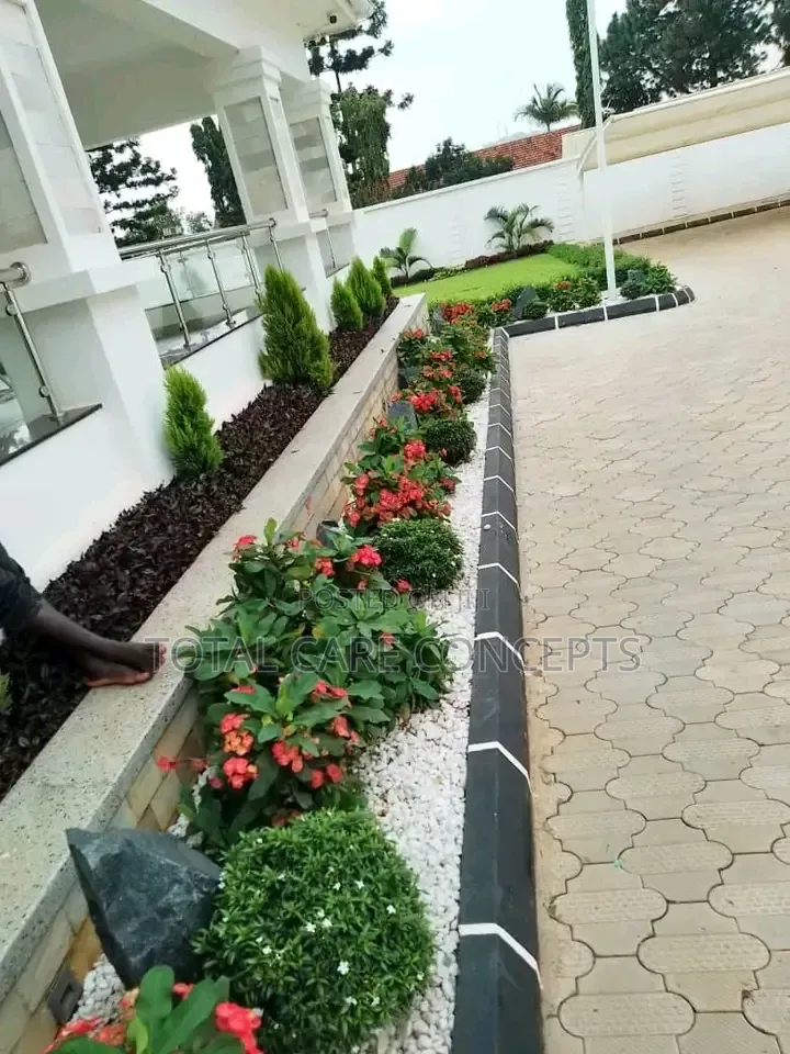 Best Compound Designers in Uganda 