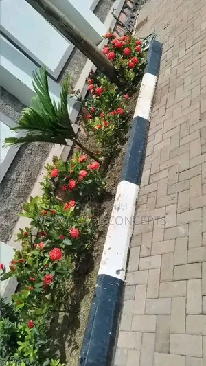 Best Compound Designers in Uganda 