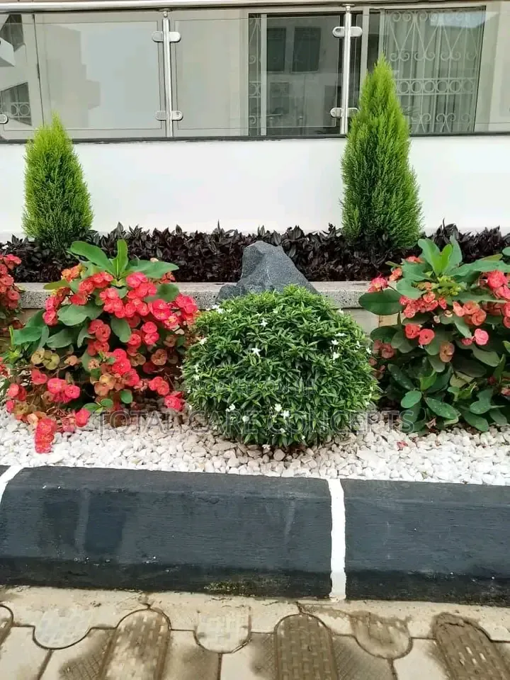 Best Compound Designers in Uganda 
