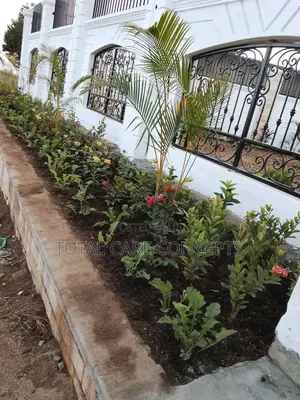 Best Compound Designers in Uganda 