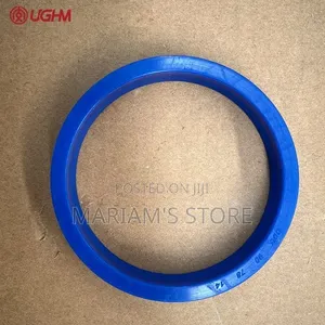 Oil Seals and Hydraulic Seals