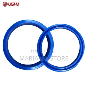 Oil Seals and Hydraulic Seals
