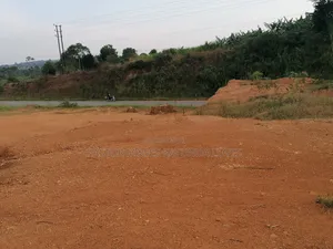 4.7 Acres for Sale Touching Tarmac