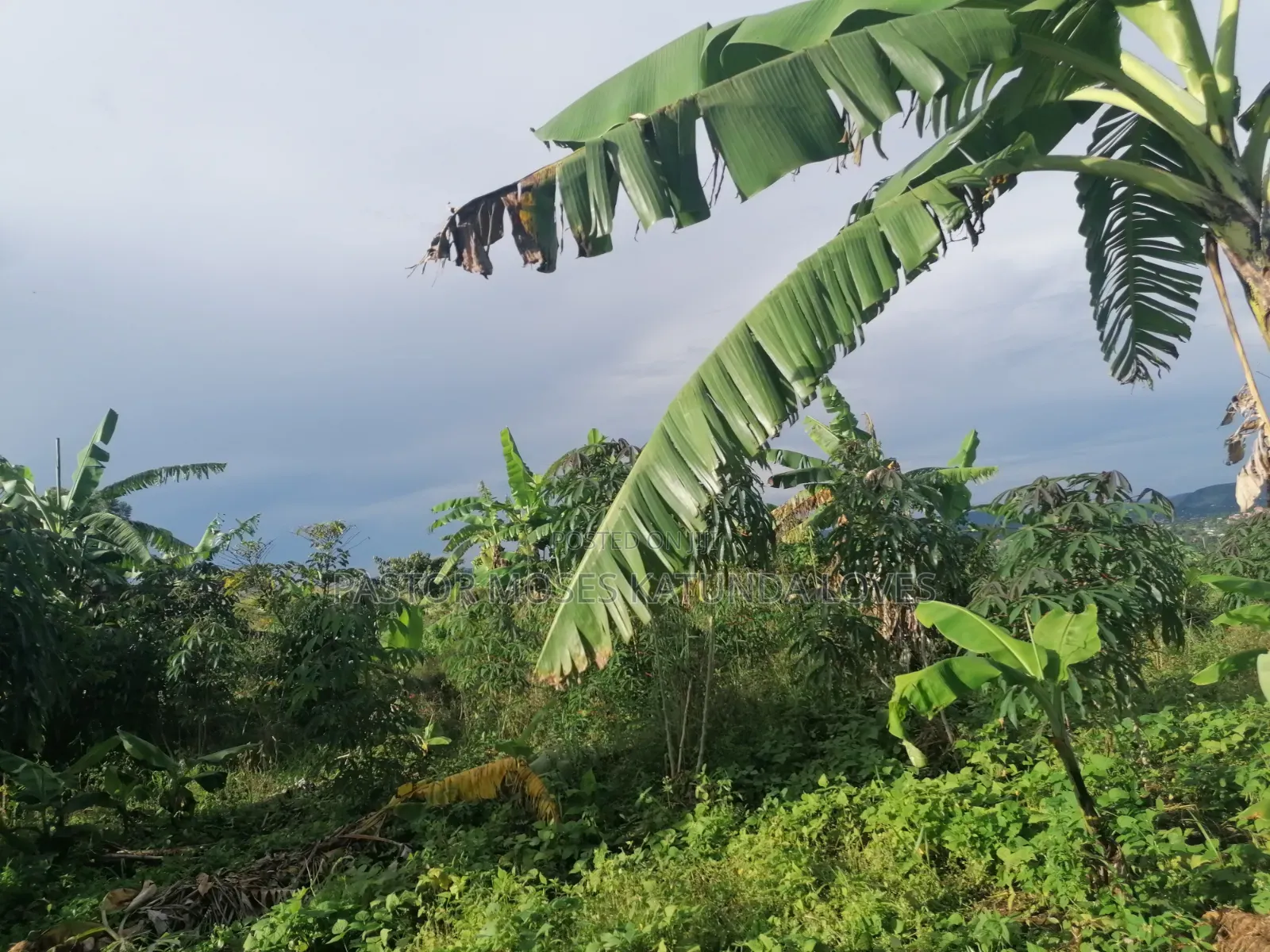60 Decimals at Bukalango Hill Lugeye Hill View