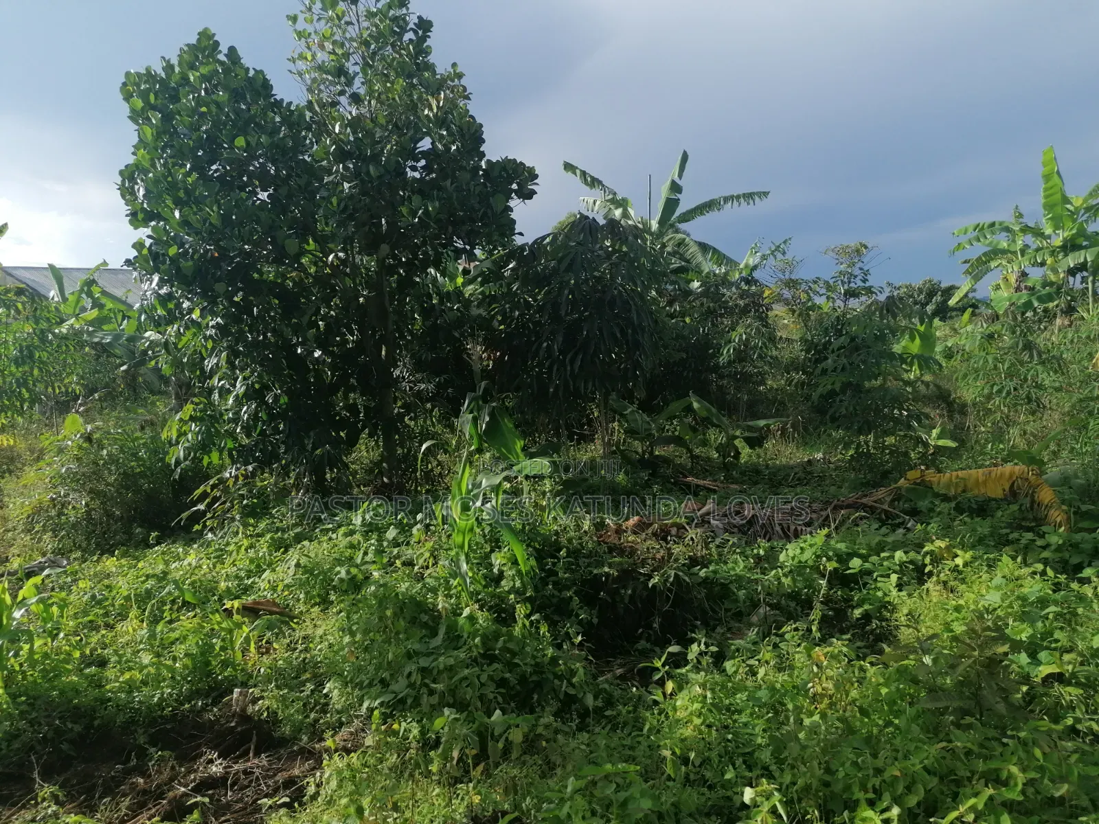 60 Decimals at Bukalango Hill Lugeye Hill View