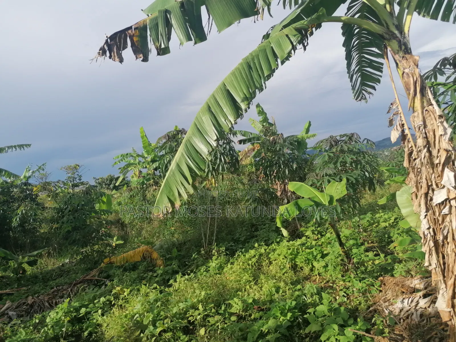 60 Decimals at Bukalango Hill Lugeye Hill View