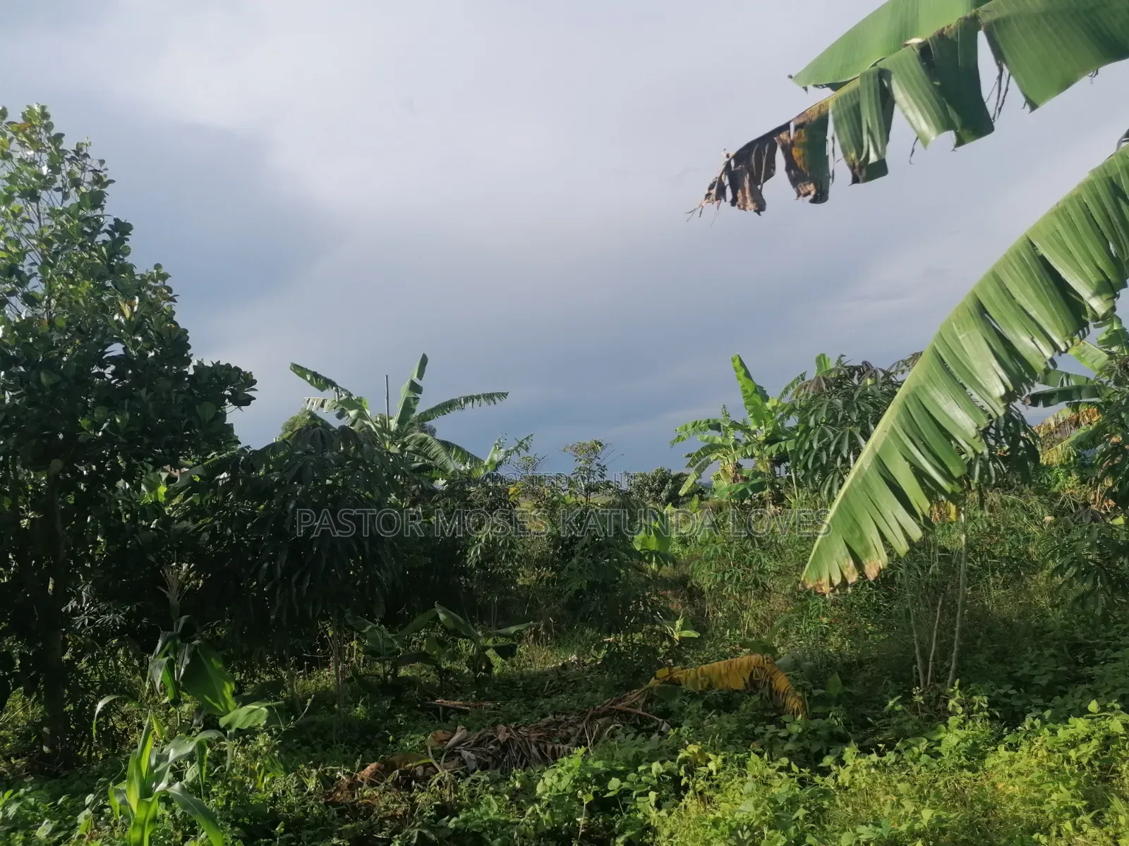 60 Decimals at Bukalango Hill Lugeye Hill View