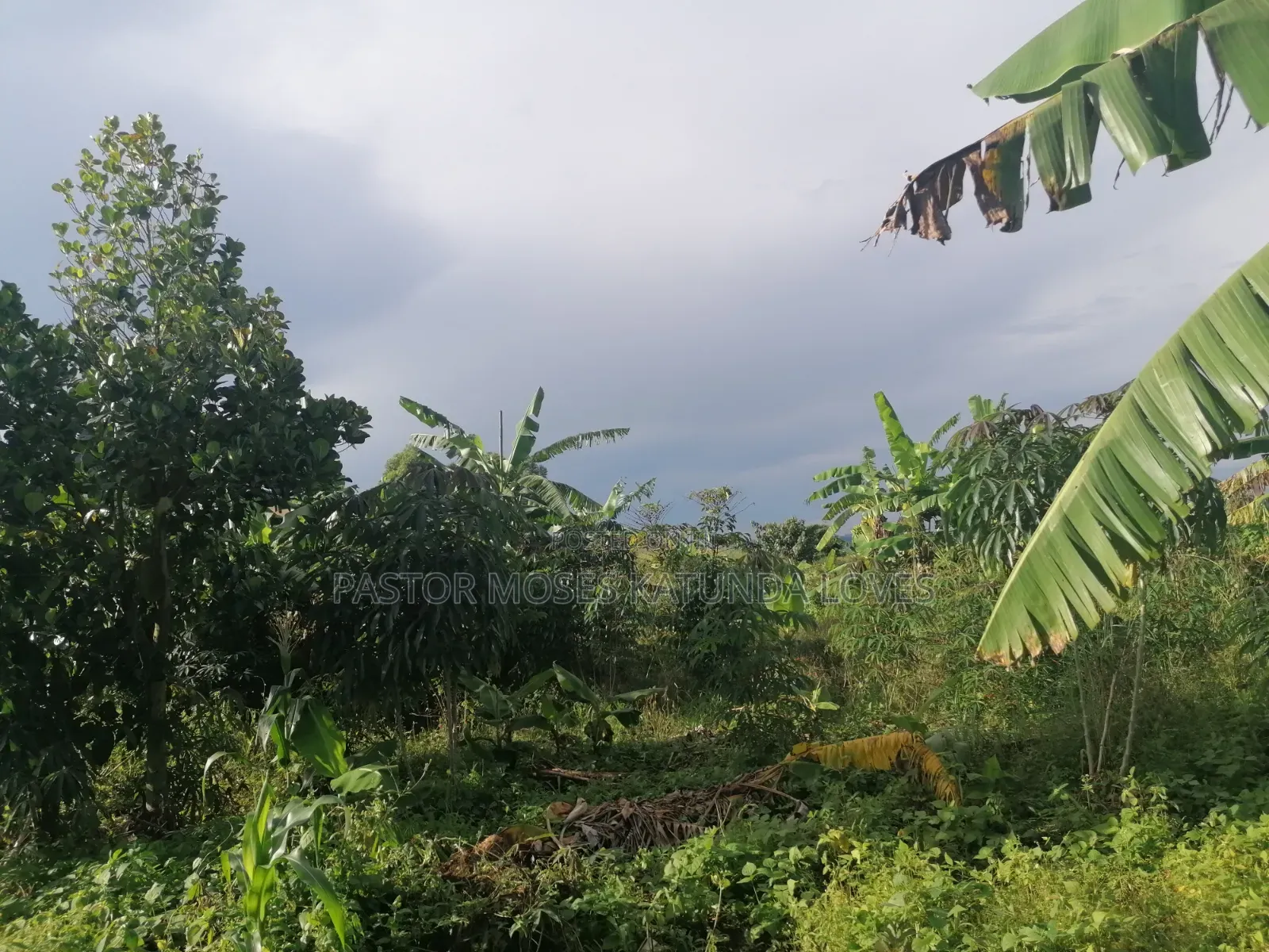 60 Decimals at Bukalango Hill Lugeye Hill View